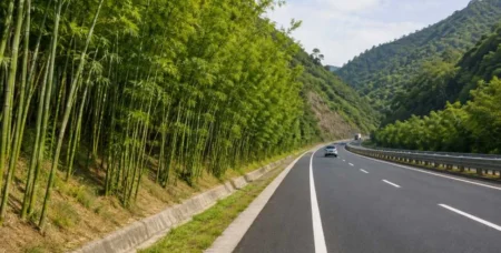 उत्तराखंड के एक्सप्रेसवे पर ‘ग्रीन गोल्ड’ का प्लान, बांस रोकेगा मिट्टी कटाव और बढ़ाएगा हरियाली